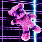 Crushito travieso oso de peluche BDSM Crushious