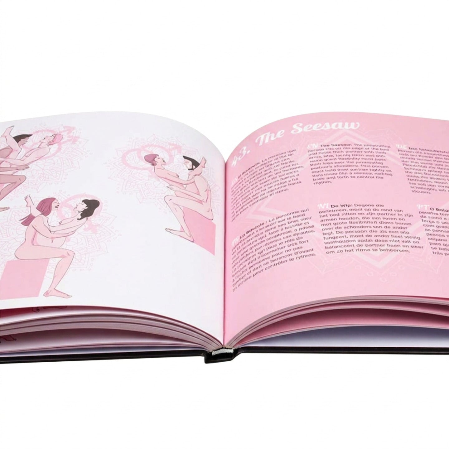 SECRET PLAY | Más allá de lo habitual – Libro de Posturas Kamasutra (ES/EN/DE/FR/NL/PT)