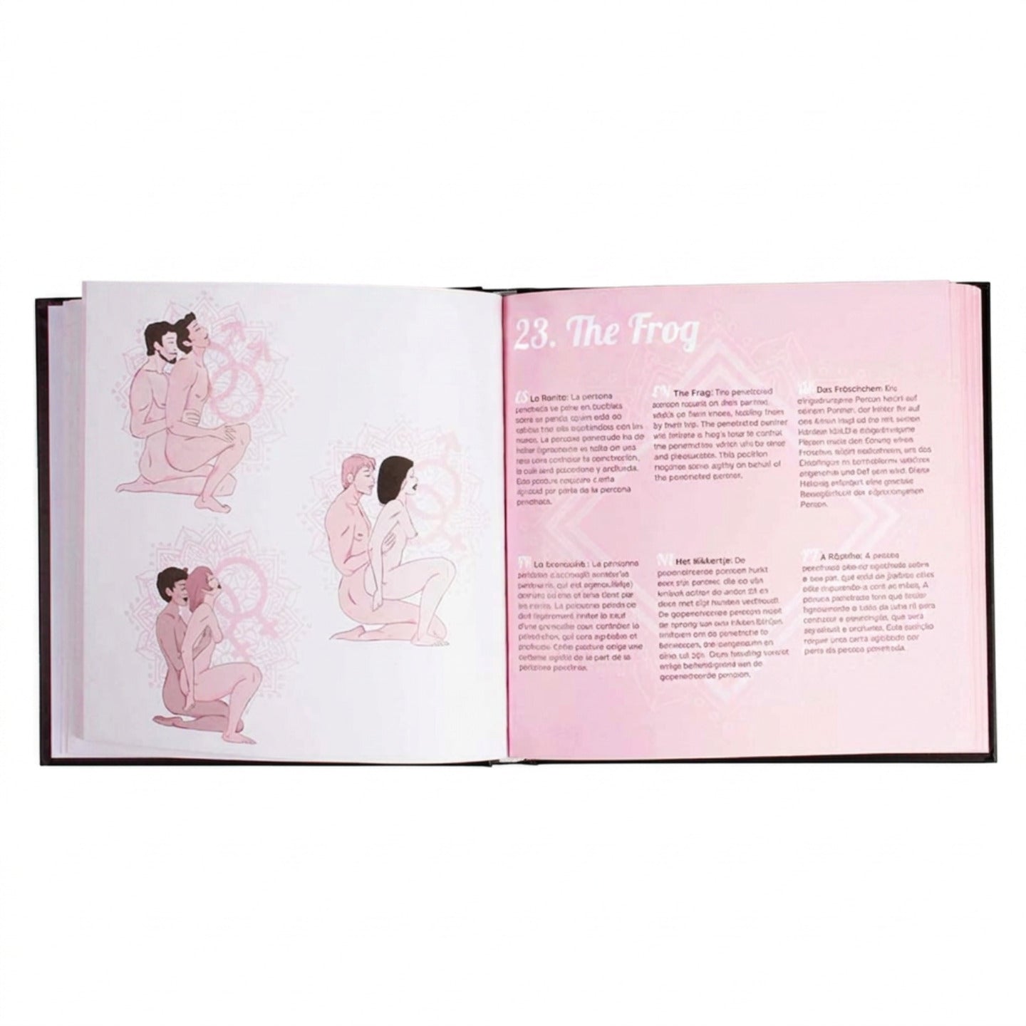 SECRET PLAY | Más allá de lo habitual – Libro de Posturas Kamasutra (ES/EN/DE/FR/NL/PT)
