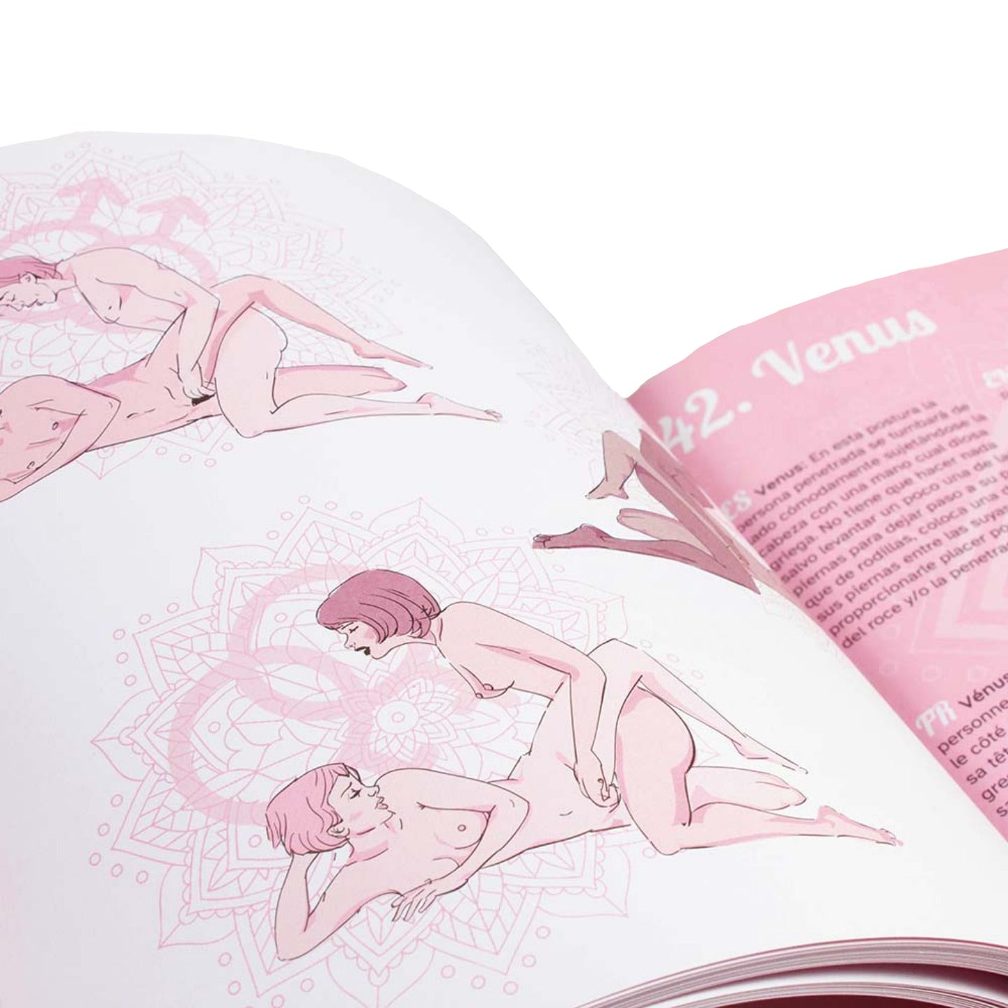 SECRET PLAY | Más allá de lo habitual – Libro de Posturas Kamasutra (ES/EN/DE/FR/NL/PT)